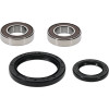 Pivot Works Suzuki Wheel Bearing Kit Premium Bearings - 25-1753-P Photo - Primary
