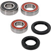 Pivot Works Gas-Gas Wheel Bearing Kit Premium Bearings - 25-1754-P Photo - Primary