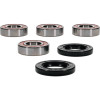 Pivot Works Honda Wheel Bearing Kit Premium Bearings - 25-1777-P Photo - Primary