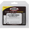 Pivot Works Kawasaki Wheel Bearing Kit Premium Bearings - 25-1785-P Photo - Primary