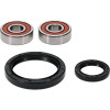 Pivot Works Kawasaki Wheel Bearing Kit Premium Bearings - 25-1785-P Photo - Primary