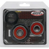 Pivot Works Honda Wheel Bearing Kit Premium Bearings - 25-1796-P Photo - Primary