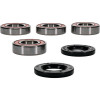 Pivot Works Gas-Gas, Husqvarna, KTM Wheel Bearing Kit Premium Bearings - 25-1807-P Photo - Primary