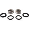 Pivot Works 99-05 Arctic Cat 250 2x4 PW Front Wheel Bearing Kit - PWFWK-A01-542 Photo - Primary