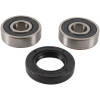 Pivot Works 80-99 Honda Z-50R PW Front Wheel Bearing Kit - PWFWK-H30-050 Photo - Primary