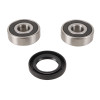 Pivot Works 73-76 Honda CR250 PW Front Wheel Bearing Kit - PWFWK-H37-000 Photo - Primary