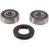 Pivot Works 79-81 Honda CR125R PW Front Wheel Bearing Kit - PWFWK-H44-000 Photo - Primary