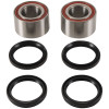 Pivot Works 09-13 Honda Big Red MUV 700 PW Front Wheel Bearing Kit - PWFWK-H54-000 Photo - Primary