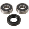 Pivot Works 03-06 Kawasaki KDX50 PW Front Wheel Bearing Kit - PWFWK-S37-000 Photo - Primary