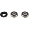 Pivot Works 1980 Yamaha YZ50 PW Front Wheel Bearing Kit - PWFWK-Y16-001 Photo - Primary