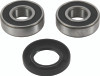 Pivot Works 85-88 Yamaha BW200 PW Front Wheel Bearing Kit - PWFWK-Y19-001 Photo - Primary