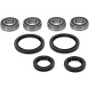 Pivot Works 04-08 Yamaha YFM50 Raptor PW Front Wheel Bearing Kit - PWFWK-Y49-000 Photo - Primary