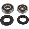 Pivot Works 96-99 Honda CRM250AR (NOT US MODEL) PW Rear Wheel Bearing Kit - PWRWK-H13-020 Photo - Primary