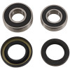 Pivot Works 00-07 Honda XR650R PW Rear Wheel Bearing Kit - PWRWK-H15-006 Photo - Primary