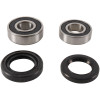 Pivot Works 92-95 Honda CR80R PW Rear Wheel Bearing Kit - PWRWK-H17-008 Photo - Primary