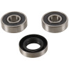 Pivot Works 04-20 Honda CRF50F PW Rear Wheel Bearing Kit - PWRWK-H27-001 Photo - Primary