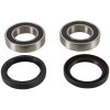 Pivot Works 93-23 Honda TRX90 PW Rear Wheel Bearing Kit - PWRWK-H31-000 Photo - Primary