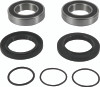 Pivot Works 1983 Honda ATC200E PW Rear Wheel Bearing Kit - PWRWK-H56-000 Photo - Primary