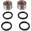 Pivot Works 09-13 Honda Big Red MUV 700 PW Rear Wheel Bearing Kit - PWRWK-H69-000 Photo - Primary