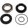Pivot Works 07-13 Honda TRX420 FE PW Rear Wheel Bearing Kit - PWRWK-H71-000 Photo - Primary