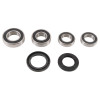 Pivot Works 93-96 Kawasaki KLX650 C PW Rear Wheel Bearing Kit - PWRWK-K26-000 Photo - Primary