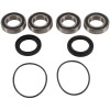 Pivot Works 08-09 Suzuki LT-A400 2WD King Quad PW Rear Wheel Bearing Kit - PWRWK-S20-500 Photo - Primary