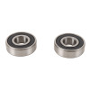 Pivot Works 77-79 Suzuki PE250 PW Rear Wheel Bearing Kit - PWRWK-S35-000 Photo - Primary