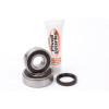 Pivot Works 84-86 Suzuki RM250 PW Rear Wheel Bearing Kit - PWRWK-S51-000 Photo - Primary