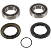 Pivot Works 83-86 Suzuki ALT-125 PW Rear Wheel Bearing Kit - PWRWK-S54-000 Photo - Primary