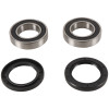 Pivot Works  Adley ATV150S PW Rear Wheel Bearing Kit - PWRWK-Y09-000 Photo - Primary