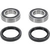 Pivot Works  Eton IXL-40 Rascal PW Rear Wheel Bearing Kit - PWRWK-Y77-000 Photo - Primary