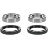 Pivot Works  Eton IXL-40 Rascal PW Rear Wheel Bearing Kit - PWRWK-Y77-000 Photo - Primary