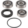 Pivot Works 99-07 Honda VT125 SHADOW (Euro) PW Rear Wheel Bearing Kit - PWRWS-H02-000 Photo - Primary