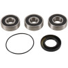 Pivot Works 82-86 Honda CB450SC PW Rear Wheel Bearing Kit - PWRWS-H03-000 Photo - Primary