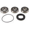 Pivot Works 98-03 Honda VT750C PW Rear Wheel Bearing Kit - PWRWS-H13-000 Photo - Primary