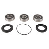 Pivot Works 89-90 Honda CB400F PW Rear Wheel Bearing Kit - PWRWS-H23-000 Photo - Primary