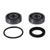 Pivot Works 1983 Honda CX650T Turbo PW Rear Wheel Bearing Kit - PWRWS-H25-000 Photo - Primary