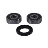 Pivot Works 82-83 Yamaha YZ80 PW Rear Wheel Bearing Kit - PWRWS-H29-000 Photo - Primary