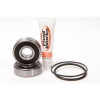 Pivot Works 1976 Honda CB200 PW Rear Wheel Bearing Kit - PWRWS-H61-000 Photo - Primary