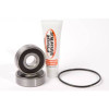 Pivot Works 78-79 Honda CX500 PW Rear Wheel Bearing Kit - PWRWS-H66-000 Photo - Primary