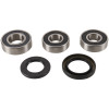 Pivot Works 95-99 Cagiva RIVER 500 PW Rear Wheel Bearing Kit - PWRWS-K05-000 Photo - Primary