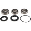 Pivot Works 06-08 Kawasaki EX 650R PW Rear Wheel Bearing Kit - PWRWS-K14-000 Photo - Primary