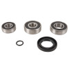 Pivot Works 01-07 Kawasaki BN125 PW Rear Wheel Bearing Kit - PWRWS-K17-000 Photo - Primary
