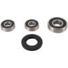Pivot Works 91-97 Suzuki GSX250 (Euro) PW Rear Wheel Bearing Kit - PWRWS-S02-000 Photo - Primary