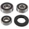 Pivot Works 82-01 Suzuki GN125 PW Rear Wheel Bearing Kit - PWRWS-S13-000 Photo - Primary
