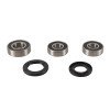 Pivot Works 90-95 Suzuki DR250S PW Rear Wheel Bearing Kit - PWRWS-S16-000 Photo - Primary