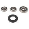 Pivot Works 88-93 Suzuki GSX1100F PW Rear Wheel Bearing Kit - PWRWS-S19-000 Photo - Primary