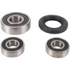 Pivot Works 89-90 Yamaha XV250 PW Rear Wheel Bearing Kit - PWRWS-Y01-000 Photo - Primary