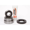 Pivot Works 86-90 Yamaha YX600 Radian PW Rear Wheel Bearing Kit - PWRWS-Y41-000 Photo - Primary
