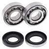 All Balls Racing 73-77 Suzuki TS100 Crank Shaft Bearing Kit - 24-1070 Photo - Primary